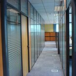 windows in office corridor with etched glass decor
